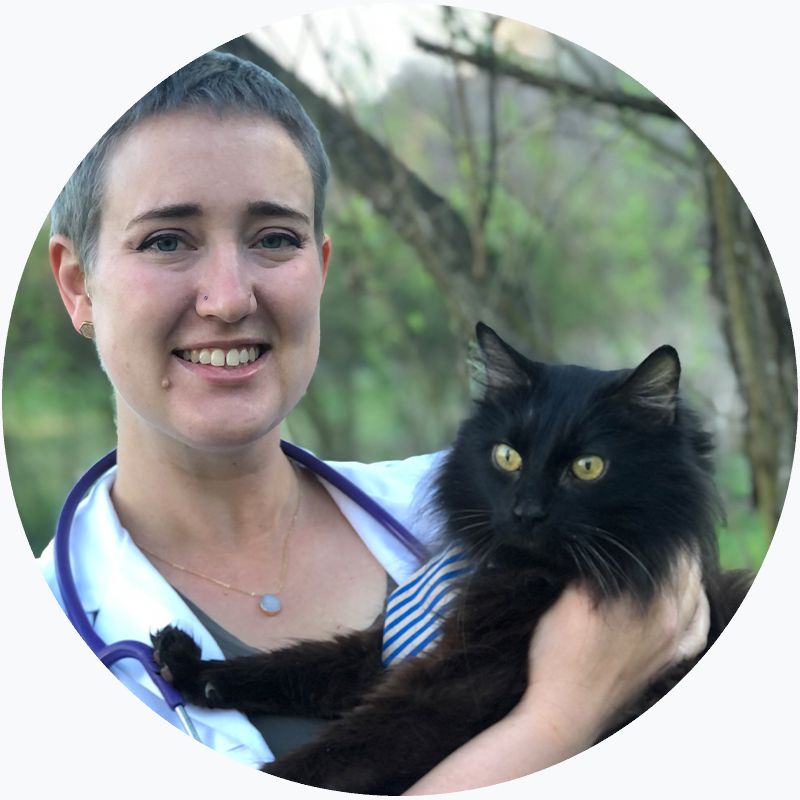 About Companion Animal Hospital Dr Elizabeth Caldwell Knoxville Tn