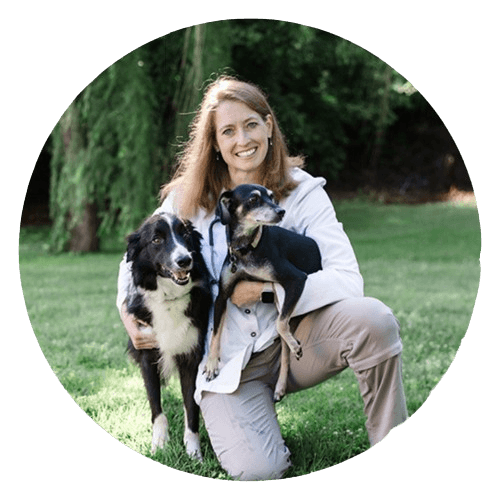 A person kneels on grass, smiling and holding two dogs, outdoors.