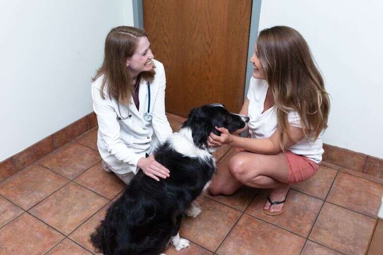 A woman in a white coat talks to another woman crouched beside a black and white dog.