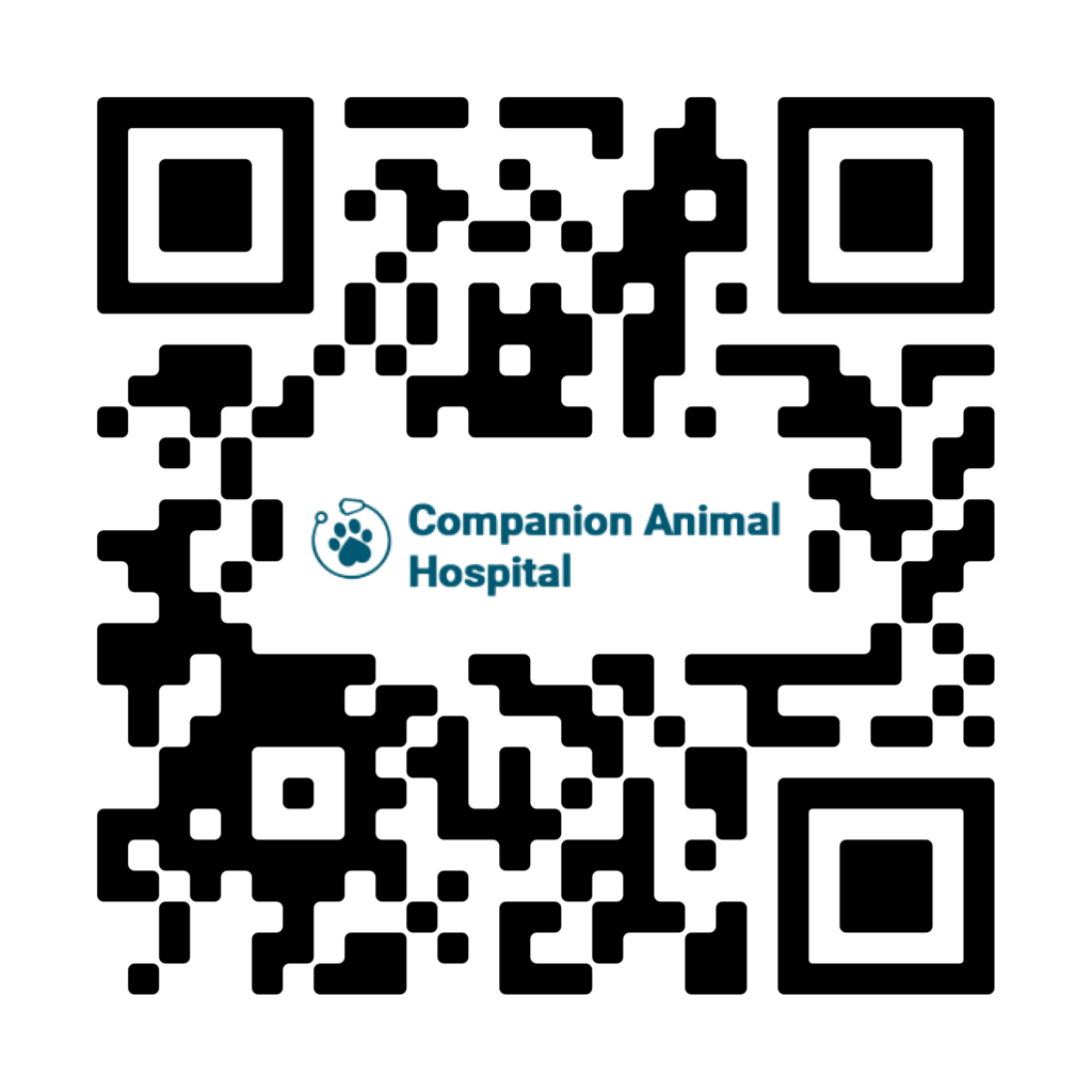 QR code with "Companion Animal Hospital" text and a paw print icon in the center.