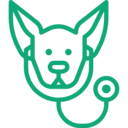 Dog with large ears facing forward, wearing a stethoscope around its neck.