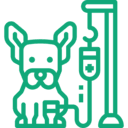 A dog sitting beside an intravenous drip stand.