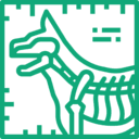 A stylized green image of a canine skeleton with markings, positioned in a square frame.