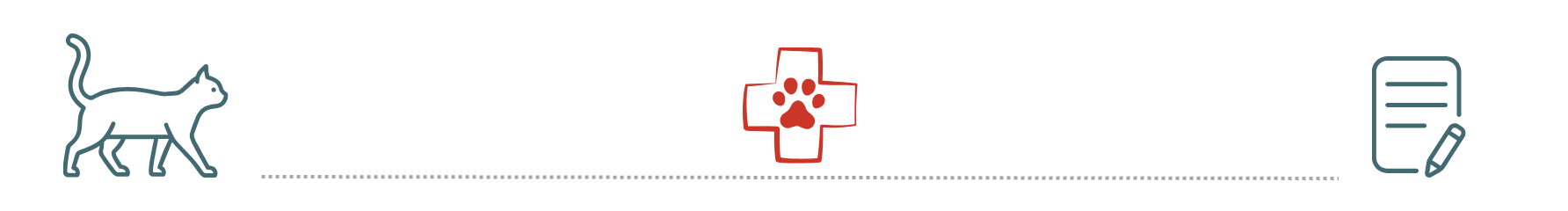  healthy dog supported by pet insurance at Companion Animal Hospital Knoxville TN